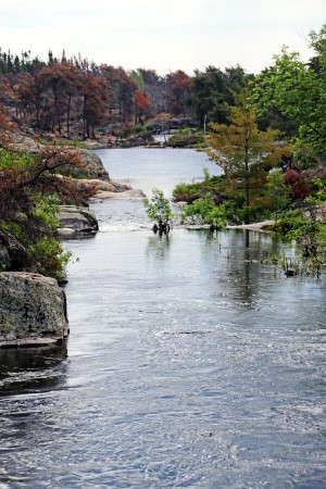 Pickerel River Outlet Cascades V